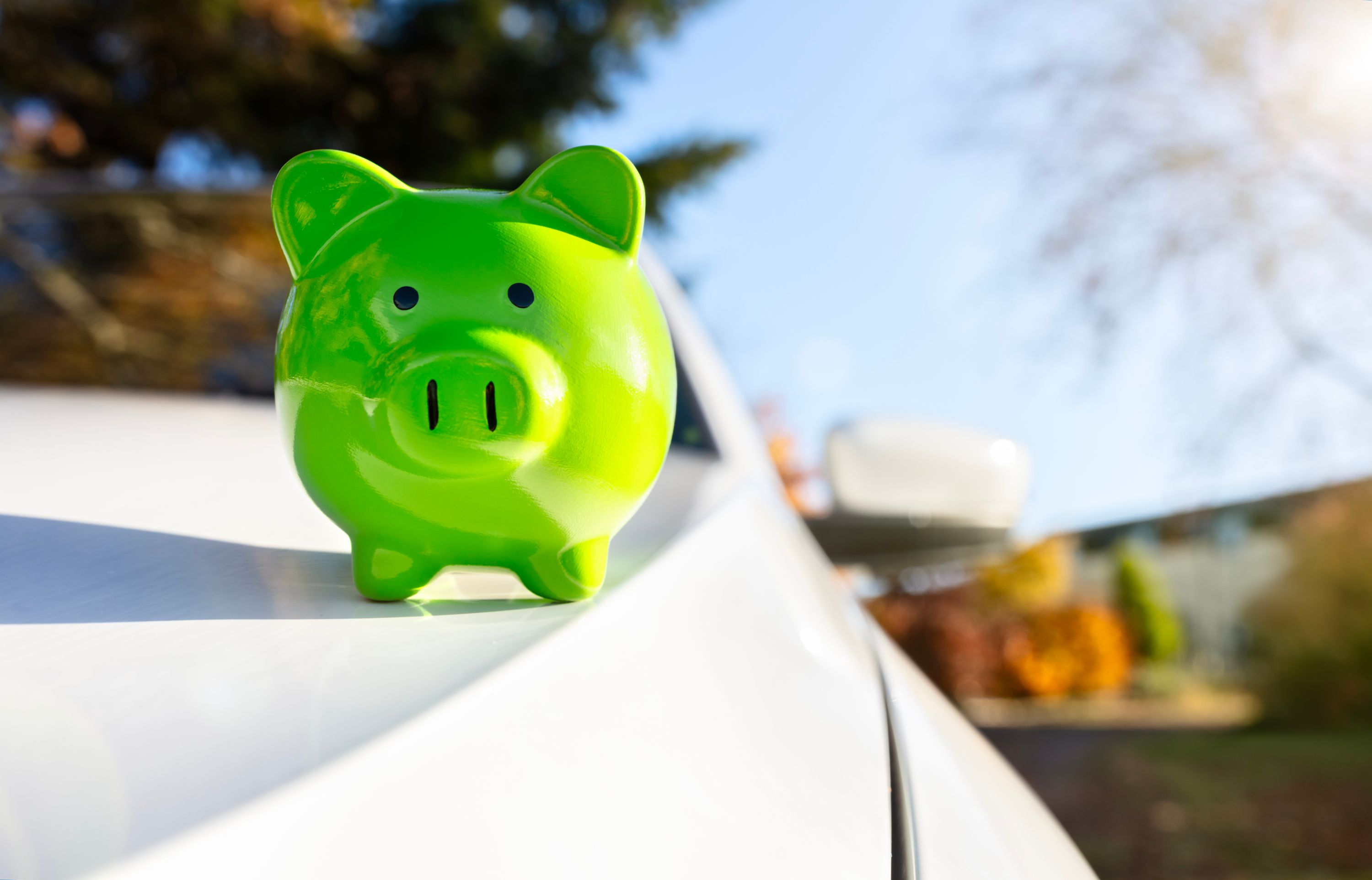 Green piggy bank on car